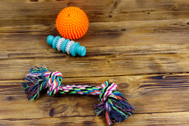 istock Dog's toys on a wooden background 1331277331