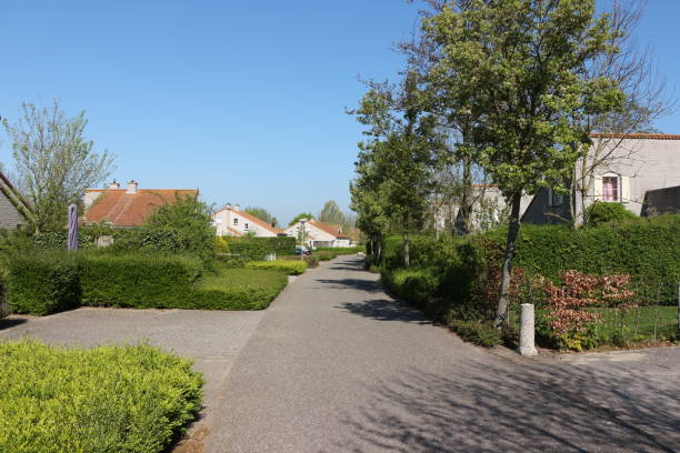 istock Sunny spring day in Brouwershaven in Holland 1331285503