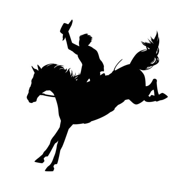 로데오 블랙 벡터 실루엣 동안 야생 점프 말을 타고 카우보이 - rodeo cowboy horse silhouette stock illustrations