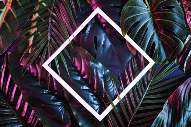 istock Creative background with moody tropical plants and white frame for copy space. Illuminated reflection jungle for poster. 1331290005