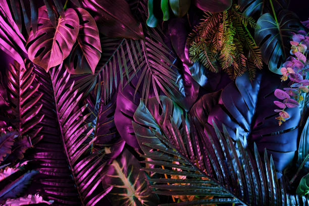 selva de tendência escura tropical em neon iluminação iluminada para fundo. palmeiras e plantas exóticas em estilo retrô e luz fluorescente. conceito botânico contemporâneo. - folhagem matizada - fotografias e filmes do acervo