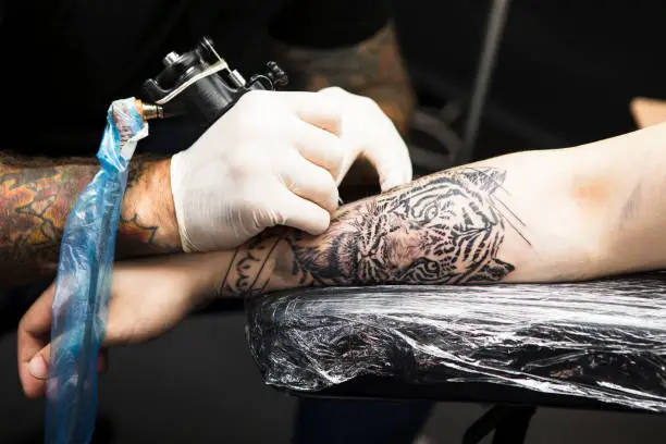 Photo of Close-up of a male tattoo artist tattooing a tiger on a young man's arm