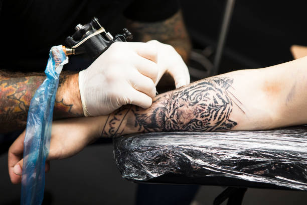 close-up of a male tattoo artist tattooing a tiger on a young man's arm - animal skin fotos imagens e fotografias de stock