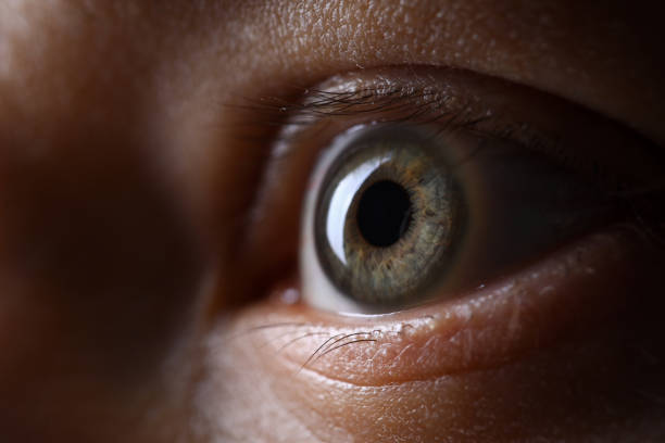 istock Male gray green colored left eye in low light technique 1331292190