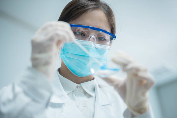 istock Young women scientist working with petri dish 1331293660