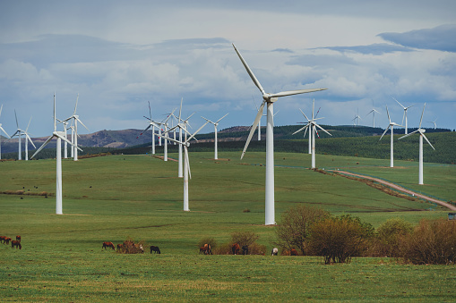 A Group Of Horse On The Grassland Under The Wind Turbine