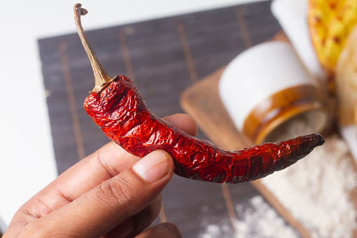 dry red chili in hand isolated on light background