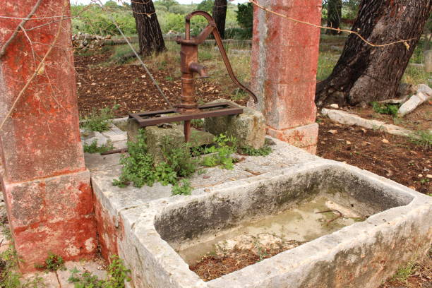 istock Old water hand pump and stone trough 1331296917