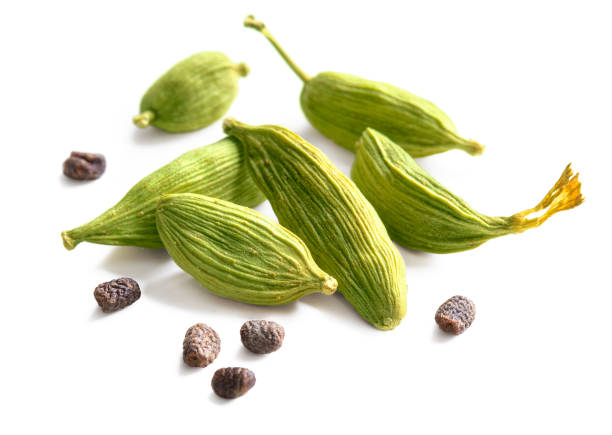 Cardamom pods and seeds isolated on white background. Group of green cardamon pods and seeds. cardamom stock pictures, royalty-free photos & images