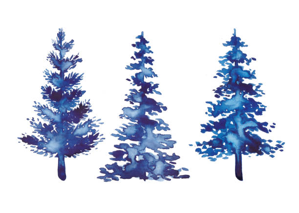 istock Set of three blue watercolor Christmas pine tree element on white background. Xmas holiday decorative winter spruce. Concept eve for greeting card. New year party painting fir shape. Hand painted 1331299369