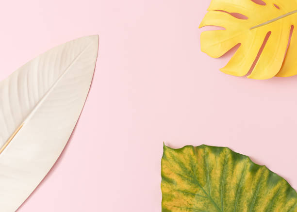 istock Colorful tropical leaves on a pastel pink background. Creative summer exotic border arrangement with copy space. 1331300085