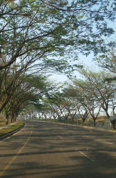 istock travel photo with nature background 1331301429