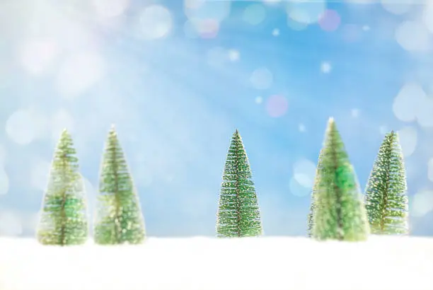 Christmas background with Christmas trees. Christmas card. Christmas background. Festive Christmas card. Copy space