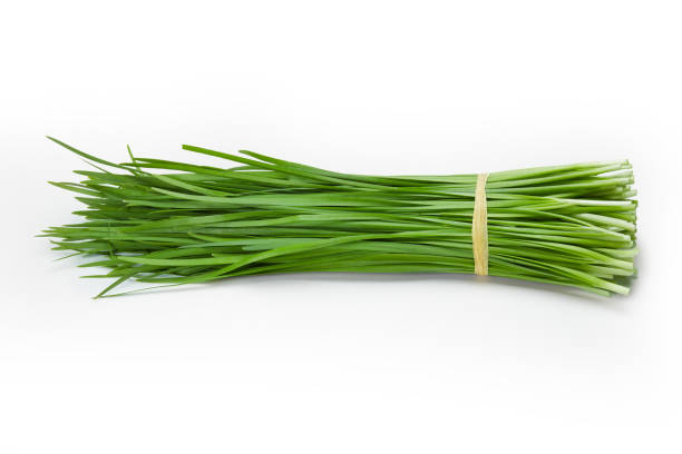 istock Fresh Chinese Chive or Kui chai isolated on white background 1331302604