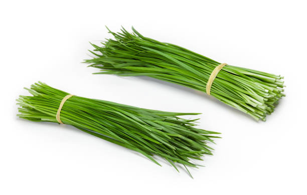 istock Fresh Chinese Chive or Kui chai isolated on white background 1331302798