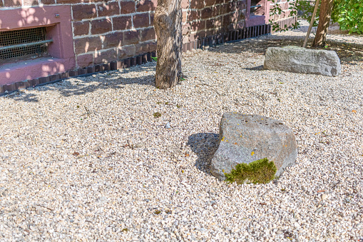 front garden without ground cover as gravel garden, easy to keep clean but very negative for the environment and biodiversity