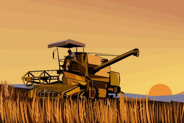 Vector illustration of Harvesting machine in the sunset