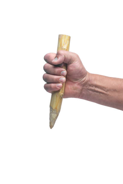 Wooden stake in hand isolated on white background.