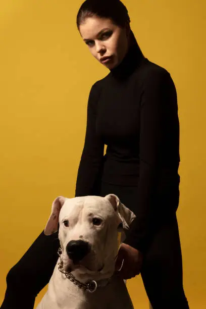 Photo of Portrait of a beautiful young woman posing sternly with her dogo argentino dog in front of a yellow background.