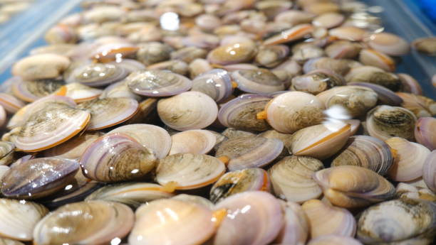 istock seafood market 1331310504