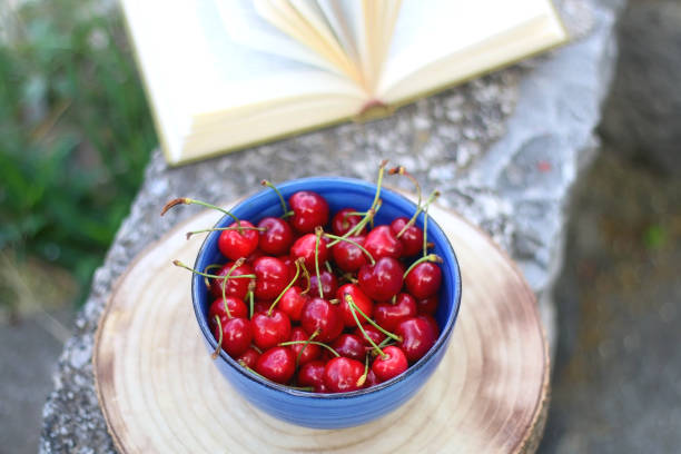 istock Bowl of Cherries and Open Book 1331310635
