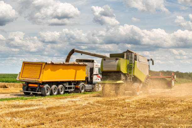 istock Combine harvester in action on wheat field. 1331311054
