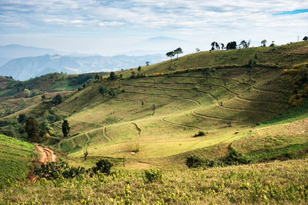istock Grassland hill with sunlight shine in national park 1331316022