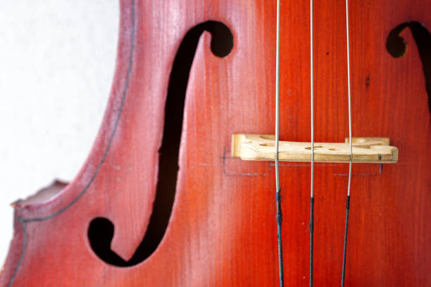 istock Cello strings and f-holes. Old brown cello. 1331318541