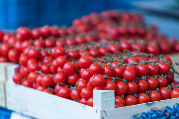 istock Red Cherry tomatoes in box for sale 1331321658