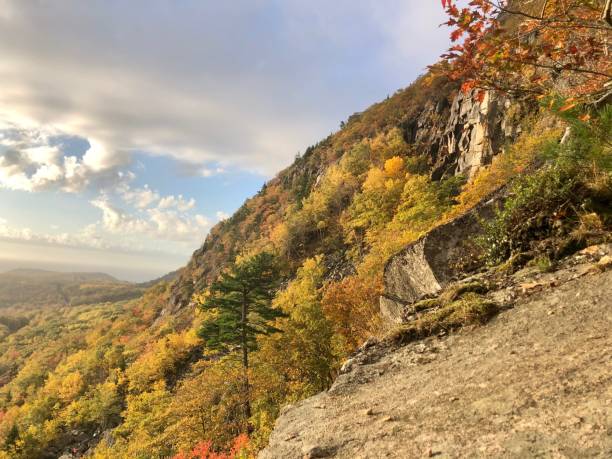 istock Bar Harbor, Maine - PRECIPICE TRAIL 1331325426