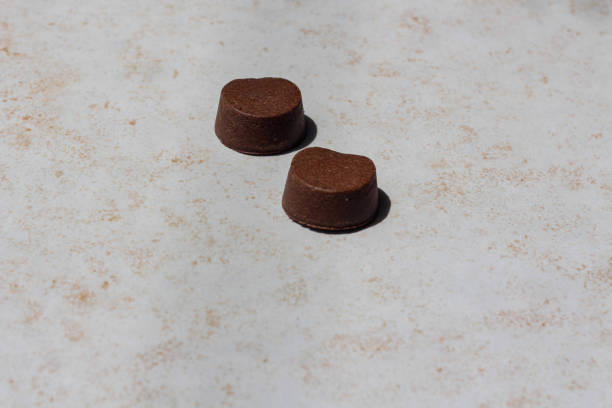 istock Two Brown tablets to protect from fleas for cats and dogs 1331326976