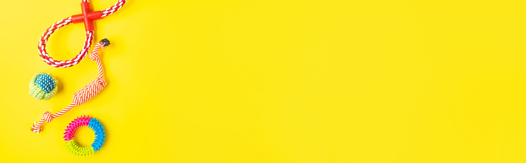 Dog rope toys on yellow background. Items for pet entertainment, playing and biting, web banner