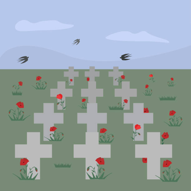 ilustraciones, imágenes clip art, dibujos animados e iconos de stock de cruces de lápidas de cementerio con amapolas - flanders war grave war memorial