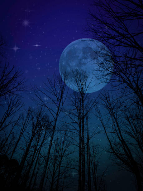 istock Fantasy Night Sky, Full Moon, Trees, Stars - Atmospheric Mood 1331332939