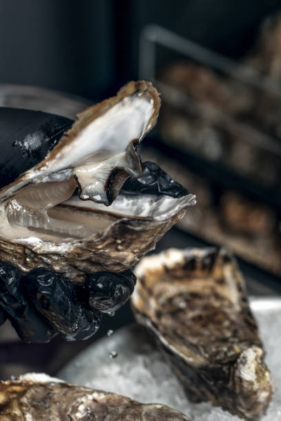 istock Raw open oyster in hand with black gloves 1331333131