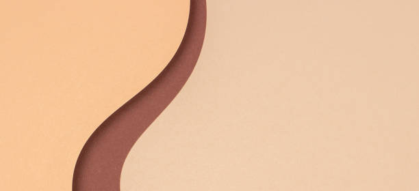 istock Abstract color papers geometry composition background with beige and brown tone curved lines 1331337271