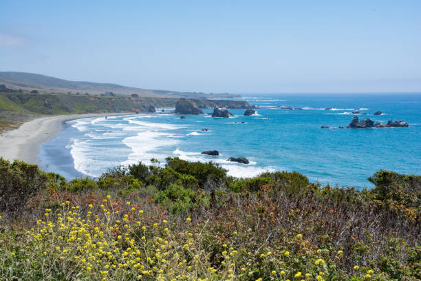 istock Colorful coastline on Highway 1 in California 1331337284