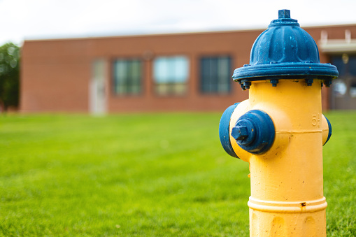 Urban School Campus Yellow Fire Hydrant Matching (Shot with Canon 5DS 50.6mp photos professionally retouched - Lightroom / Photoshop - original size 5792 x 8688 downsampled as needed for clarity and select focus used for dramatic effect)