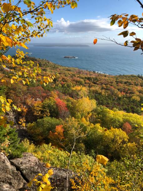 istock Acadia National Park - Maine 1331342307