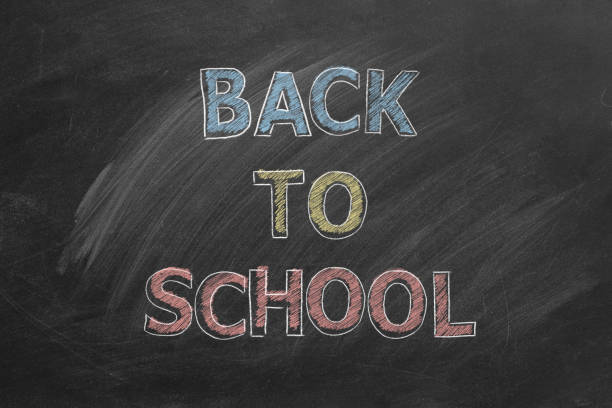 istock Back to School. Illustration on blackboard. 1331342349