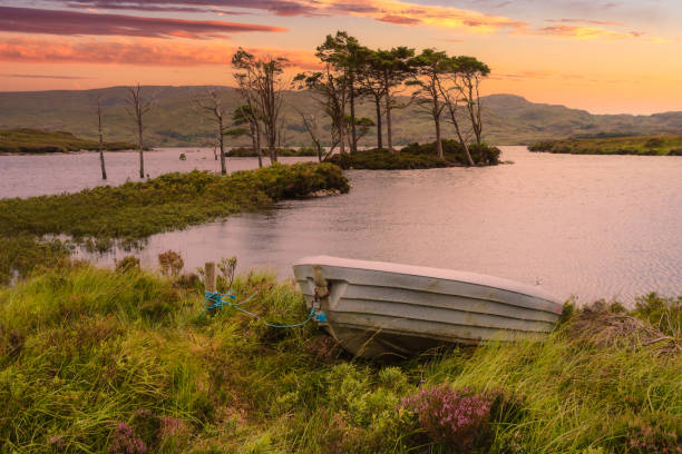 lago con alberi su un'isola in scozia highlands - loch assynt foto e immagini stock