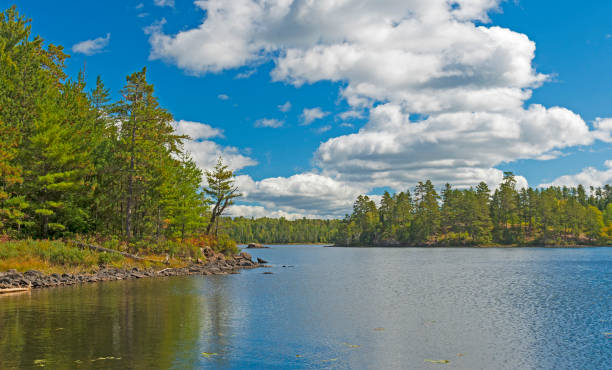 istock Sunny Afternoon in Canoe Country 1331345993