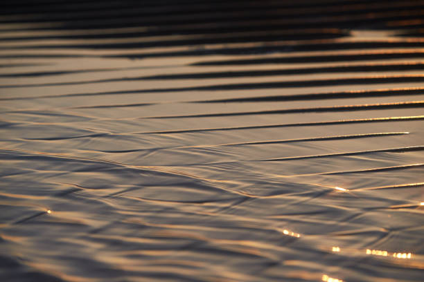 istock Sand waves texture with water on the sea beach. Yellow sand texture for background. 1331348182