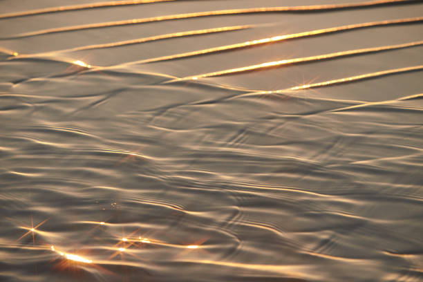 istock Sand waves texture with water on the sea beach. Yellow sand texture for background. 1331348424