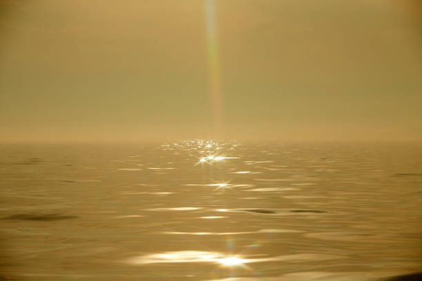 il mare nella nebbia. la linea dell'orizzonte, dissolversi nella nebbia con il sole sfocato. mare d'irlanda nella nebbia. tempo nebbioso - sunrise sun gold sea foto e immagini stock