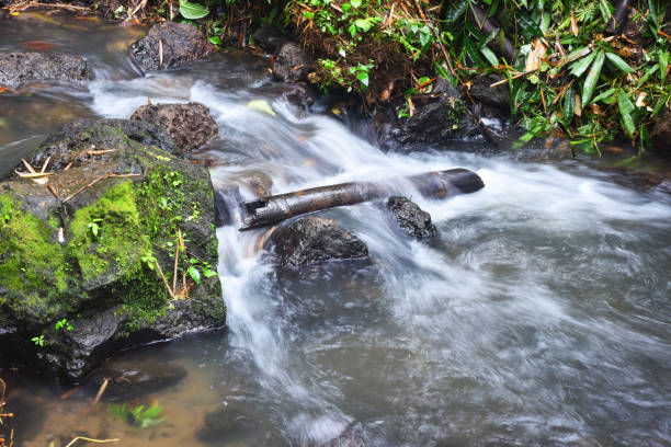 istock Small river in the forest with smooth clear water 1331348765