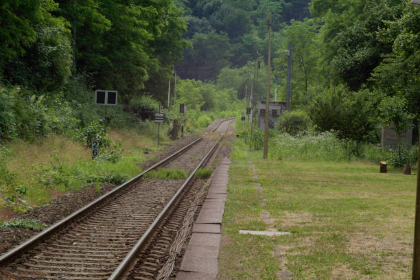 istock abandoned train station covered with vegetation 1331348802