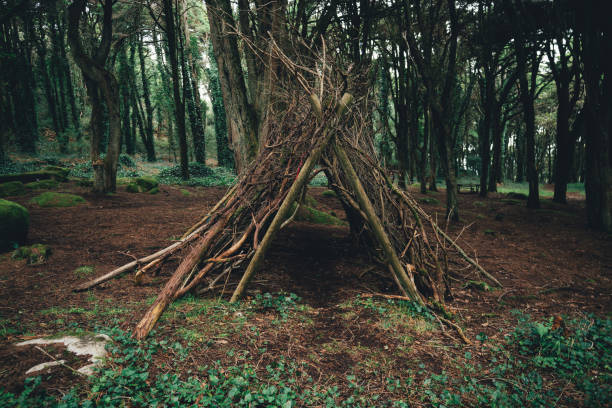 istock Hut of twigs and branches in forest 1331349536