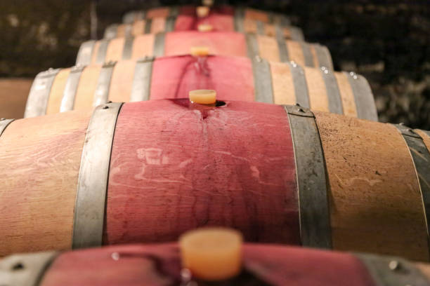 tonneau avec du vin - aging process french culture winemaking next to photos et images de collection