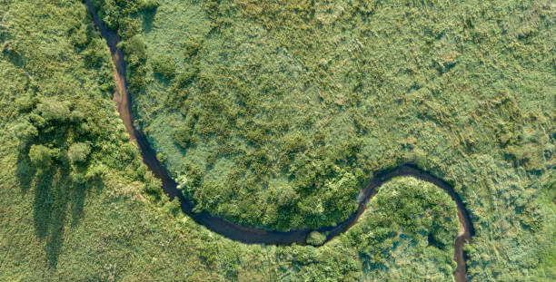 istock Aerial landscape view over the river, Russia 1331353210